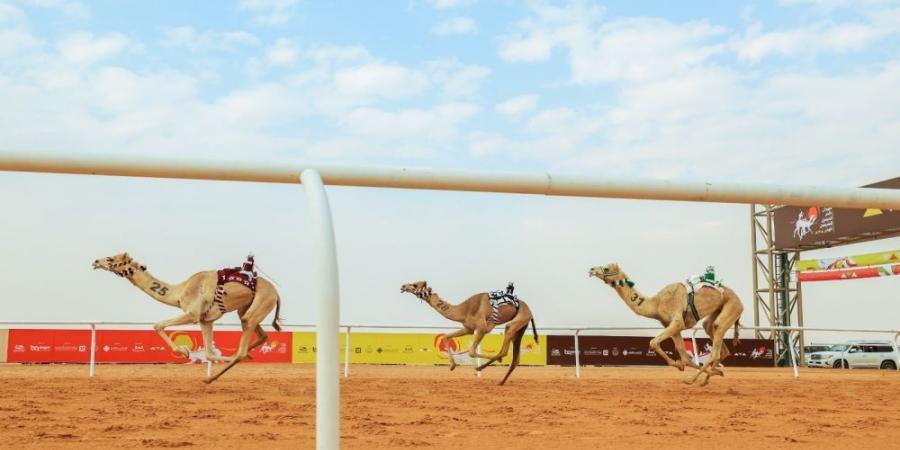 بن حثلين: الفوز في مهرجان خادم الحرمين الشريفين يعني الكثير - أرض المملكة