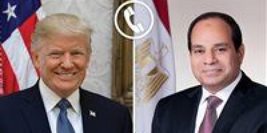 السفير علي الحفني لـ تحيا مصر: اتصال ترامب بالسيسي يعكس المصالح الاستراتيجية القوية بين مصر وأمريكا - أرض المملكة