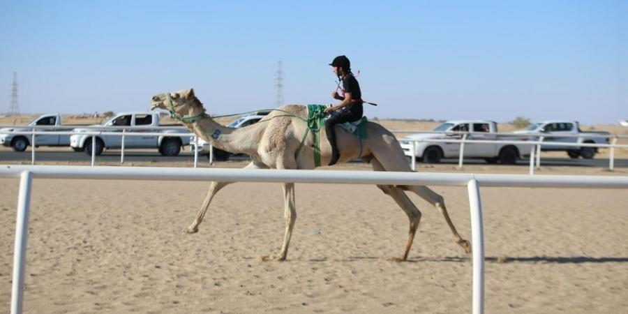 سعودي وقطري وإماراتي يتنافسون على "سيف السعودية" - أرض المملكة