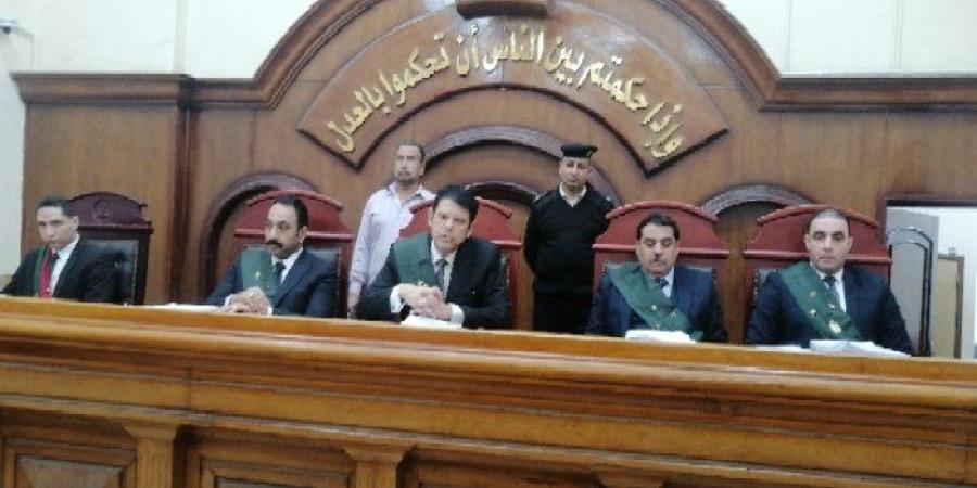 «لعنة الميراث السبب».. السجن 15 عاما لـ عامل محارة متهم بإنهاء حياة والدته بالشرقية - أرض المملكة