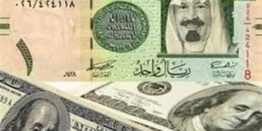 سعر الدولار اليوم الثلاثاء 4-2-2025 أمام الجنيه المصري في البنوك - أرض المملكة