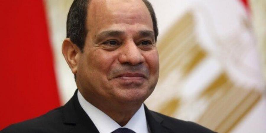 الرئيس السيسي يوقع قانونا بشأن الإذن لوزير المالية بضمان شركة مصر للألومنيوم - أرض المملكة