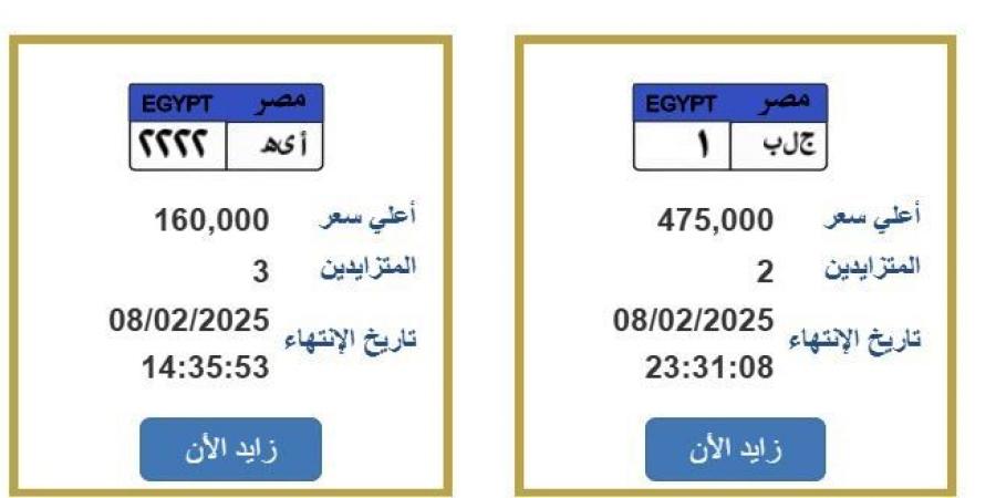 «ج.ل.ب ـ 1».. المرور تطرح لوحة سيارة بنصف مليون جنيه - أرض المملكة