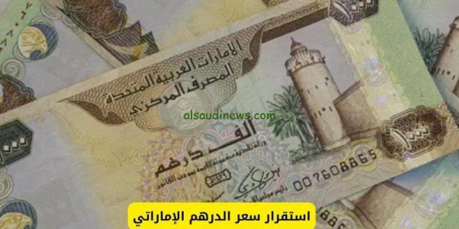 استقرار سعر الدرهم الإماراتي مقابل الجنيه المصري في السوق اليوم - أرض المملكة