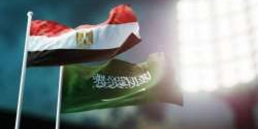 عاجل | مصر تدين التصريحات الإسرائيلية ضد السعودية وتؤكد: استفزاز مرفوض وأمن المملكة خط أحمر - أرض المملكة