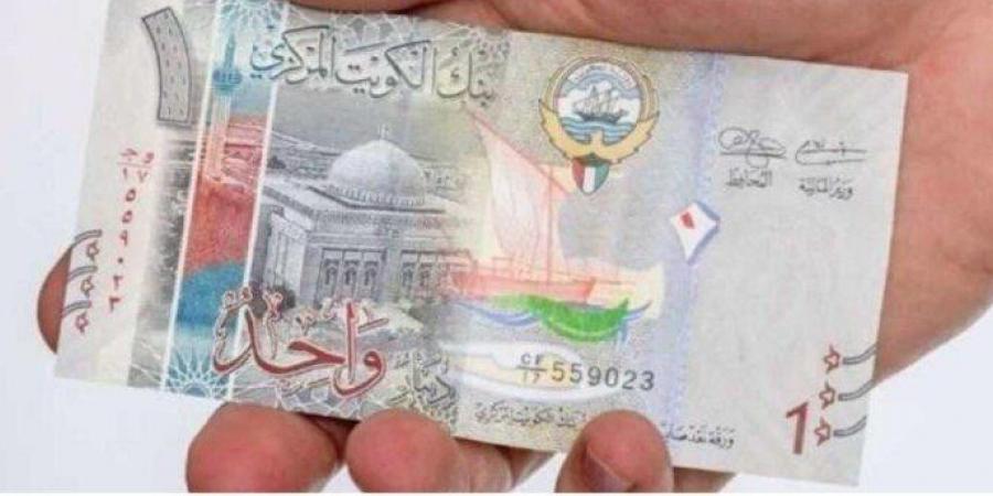 سعر الدينار الكويتي مقابل الجنيه المصري اليوم الأحد 9 فبراير 2025 - أرض المملكة