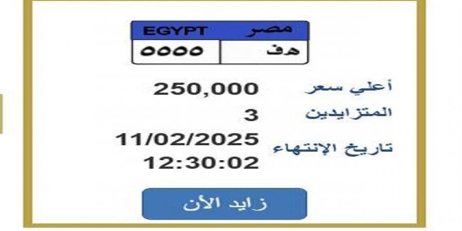 ربع مليون جنيه.. «المرور» تطرح التزايد على لوحة سيارة مميزة - أرض المملكة