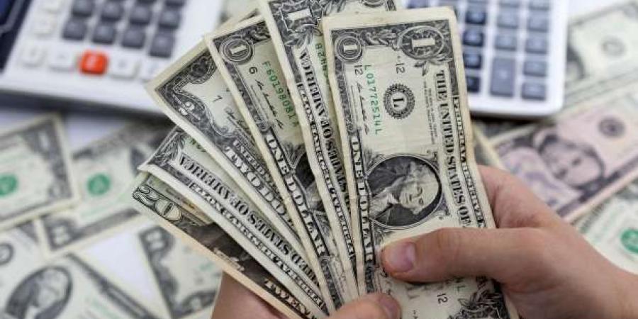 سعر الدولار مقابل الجنيه اليوم الاثنين 10-2-2025 في البنوك - أرض المملكة