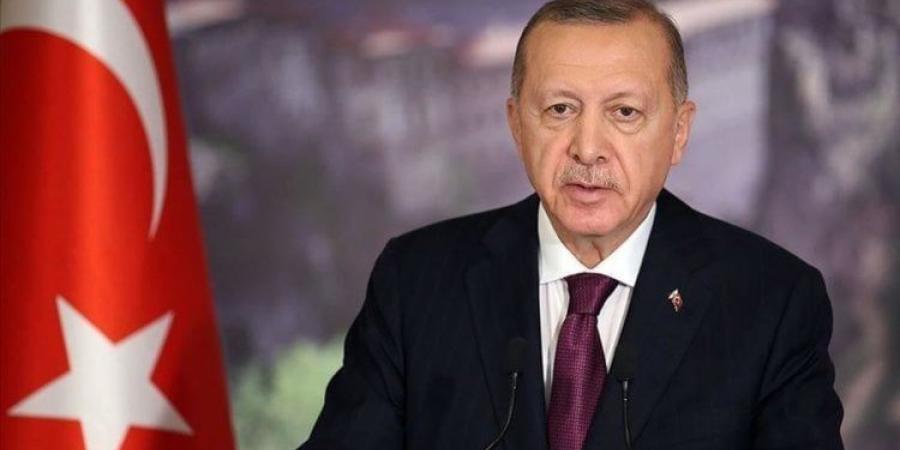 «أردوغان»: لا يمكن لأحد دفع الشعب الفلسطيني باتجاه نكبة تهجير جديدة - أرض المملكة