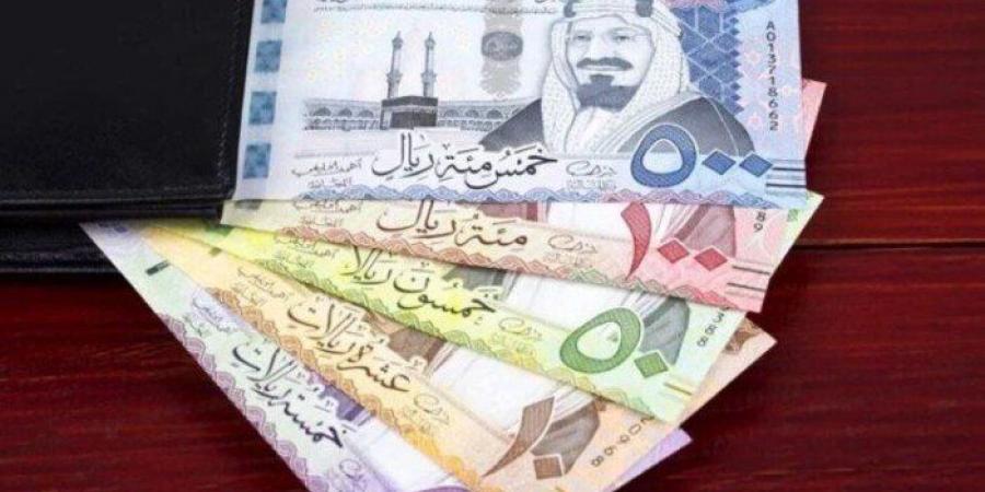 سعر الريال السعودى في مصر اليوم.. الأربعاء 12-2-2025 - أرض المملكة