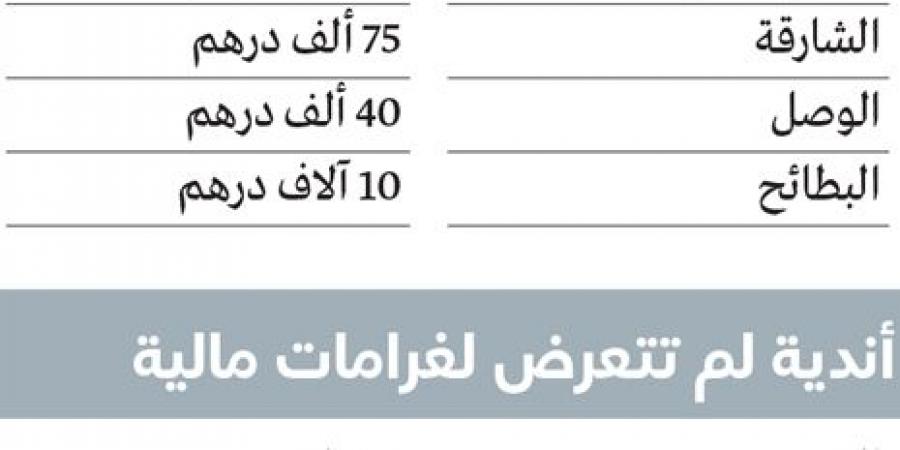 220 ألف درهم غرامات أندية المحترفين.. وشباب الأهلي في الصدارة - أرض المملكة