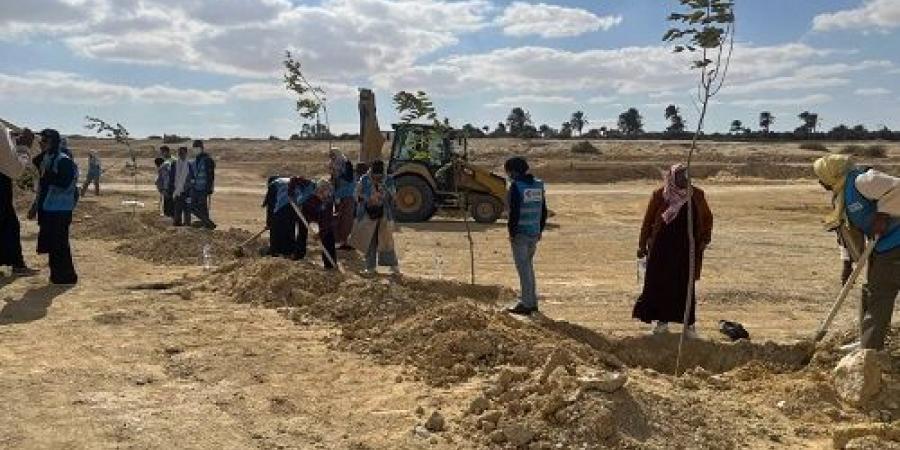 زراعة الطرق المؤدية لمداخل محميتي قارون و وادى الريان بالفيوم - أرض المملكة