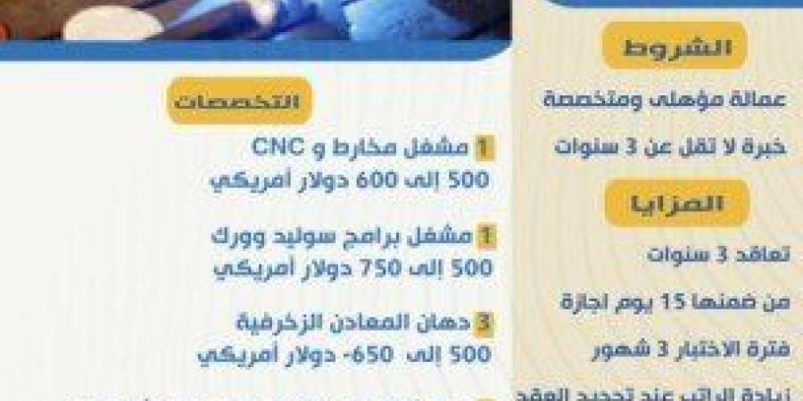 فرص عمل بلبنان بمرتبات تصل لـ 650 دولار أمريكي.. التخصصات وطريقة التقديم - أرض المملكة