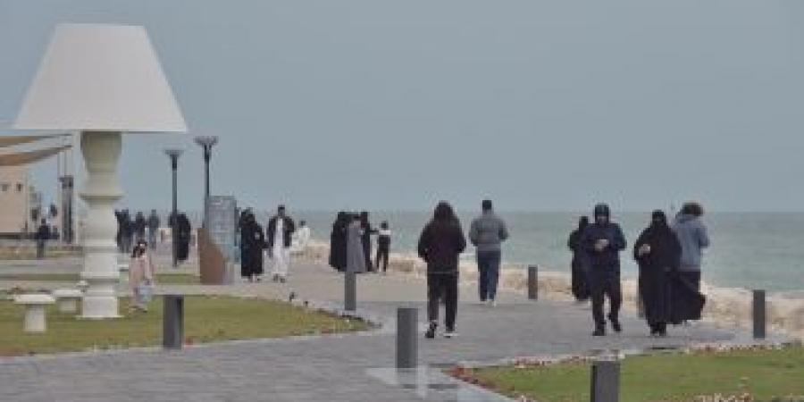 صور | السماء ملبدة بالغيوم.. هطول أمطار متوسطة على الجبيل - أرض المملكة