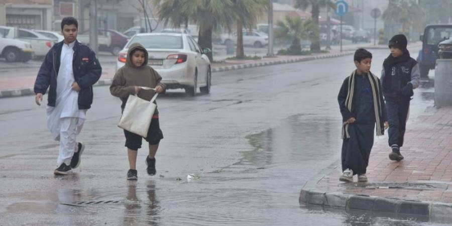 حالة الطقس.. استمرار هطول أمطار خفيفة مع نشاط في الرياح السطحية - أرض المملكة