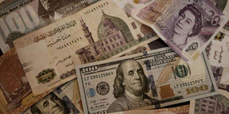 قفزة جديدة للأخضر.. سعر الدولار في مصر اليوم الأربعاء 19 فبراير 2025 - أرض المملكة