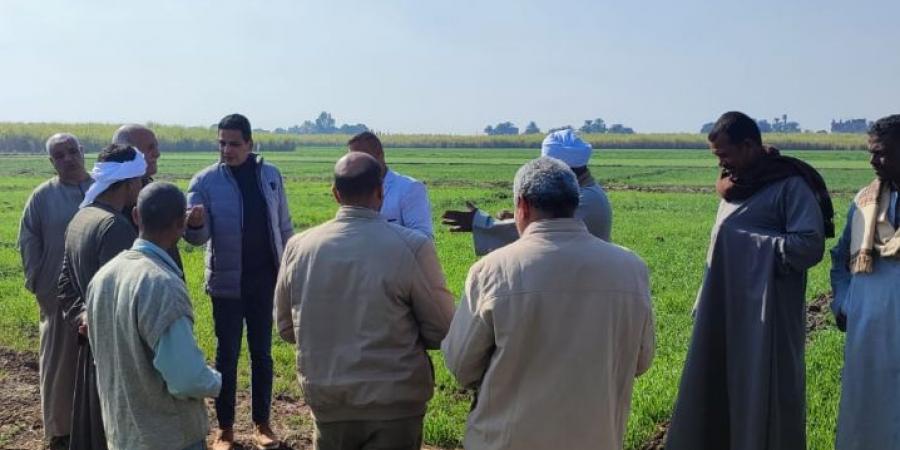 الزراعة تقدم الخدمات الإرشادية والنصائح الفنية بمحافظة الاقصر - أرض المملكة