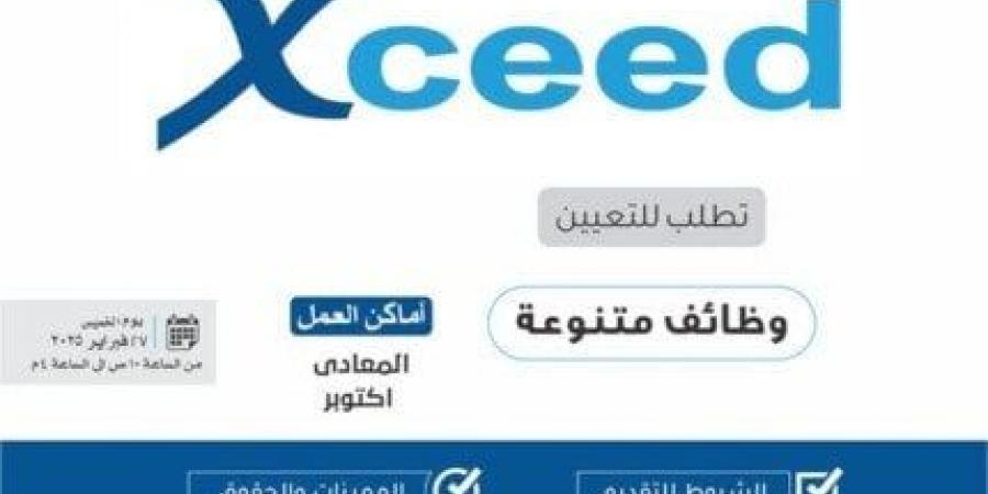 برواتب 30 ألف جنيه.. فرص عمل متنوعة في يوم توظيف مفتوح للشباب - أرض المملكة