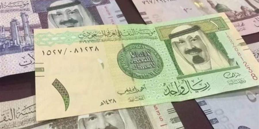 الريال السعودى يسجل 13.43 فى البنك الاهلى المصرى - أرض المملكة