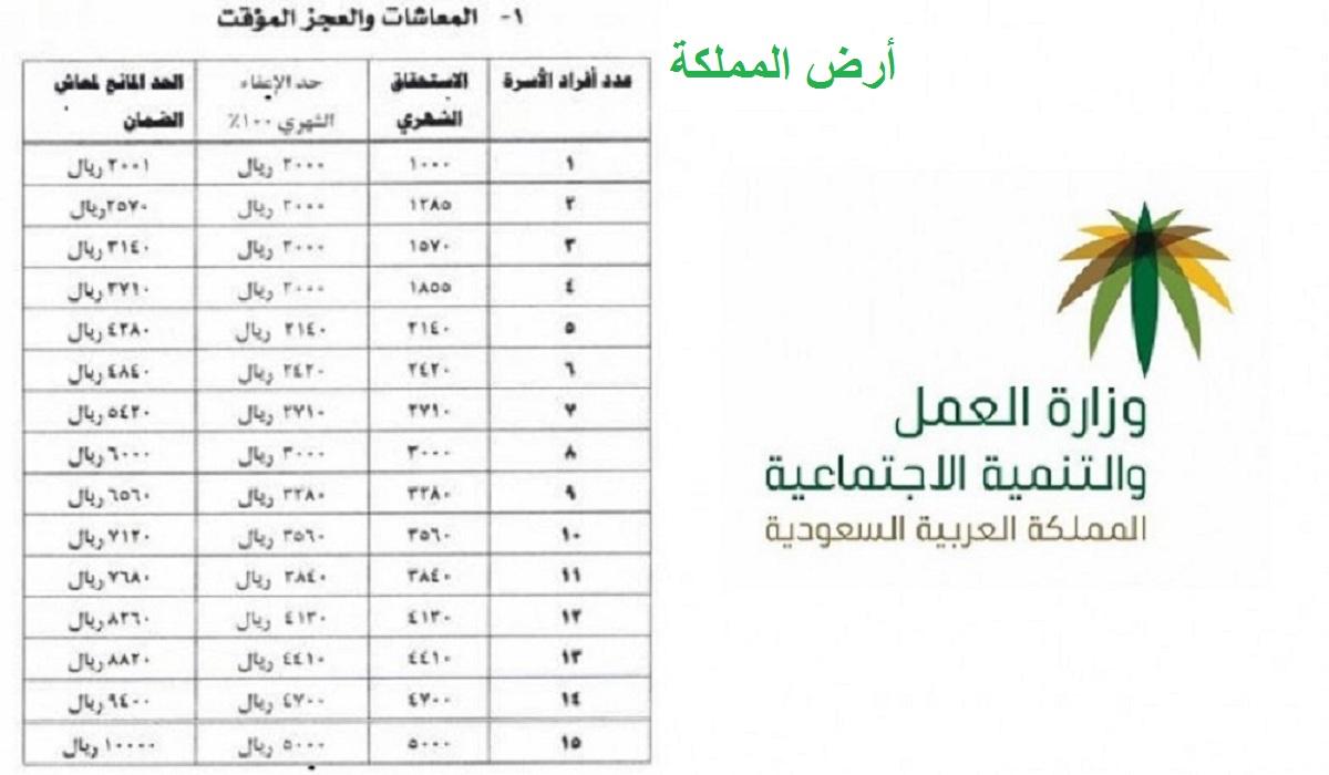 شروط استحقاق الضمان الاجتماعي المطور